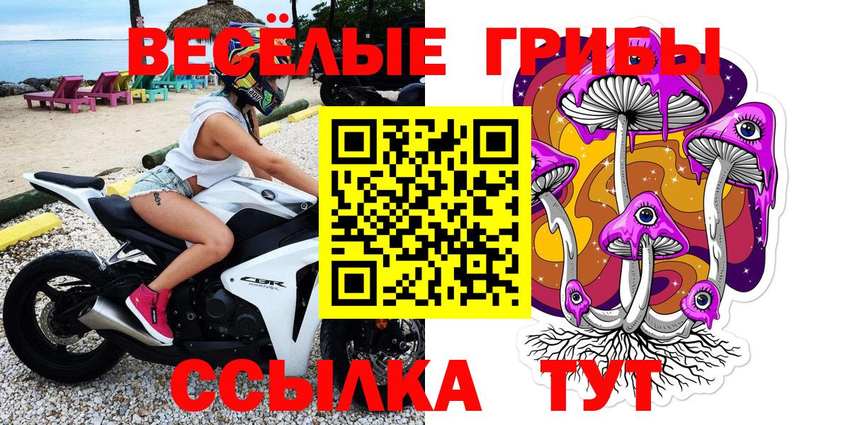 где купить наркоту  Вход с VPN  Псилоцибиновые грибы мухоморы  Костомукша  Псилоцибиновые грибы GOLDEN TEACHER 